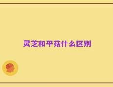 灵芝和平菇什么区别