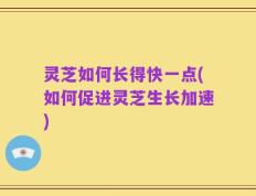 灵芝如何长得快一点(如何促进灵芝生长加速)