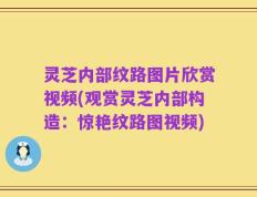 灵芝内部纹路图片欣赏视频(观赏灵芝内部构造：惊艳纹路图视频)