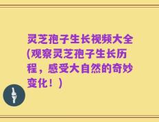 灵芝孢子生长视频大全(观察灵芝孢子生长历程，感受大自然的奇妙变化！)
