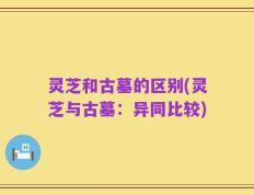 灵芝和古墓的区别(灵芝与古墓：异同比较)