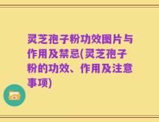 灵芝孢子粉功效图片与作用及禁忌(灵芝孢子粉的功效、作用及注意事项)