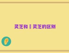 灵芝和艼灵芝的区别