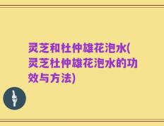 灵芝和杜仲雄花泡水(灵芝杜仲雄花泡水的功效与方法)