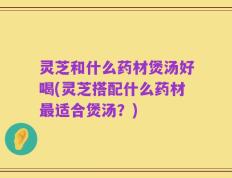 灵芝和什么药材煲汤好喝(灵芝搭配什么药材最适合煲汤？)