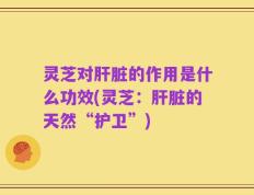 灵芝对肝脏的作用是什么功效(灵芝：肝脏的天然“护卫”)
