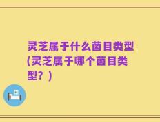 灵芝属于什么菌目类型(灵芝属于哪个菌目类型？)