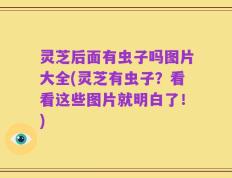 灵芝后面有虫子吗图片大全(灵芝有虫子？看看这些图片就明白了！)
