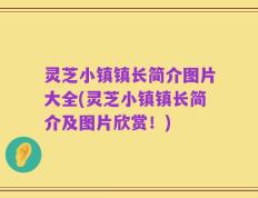 灵芝小镇镇长简介图片大全(灵芝小镇镇长简介及图片欣赏！)