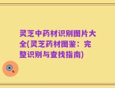灵芝中药材识别图片大全(灵芝药材图鉴：完整识别与查找指南)
