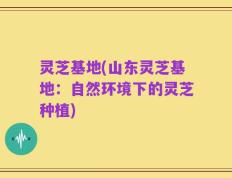 灵芝基地(山东灵芝基地：自然环境下的灵芝种植)