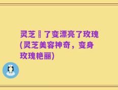 灵芝廋了变漂亮了玫瑰(灵芝美容神奇，变身玫瑰艳丽)