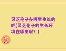 灵芝孢子在哪里生长的呢(灵芝孢子的生长环境在哪里呢？)