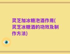 灵芝加冰糖泡酒作用(灵芝冰糖酒的功效及制作方法)
