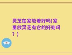 灵芝在家放着好吗(家里放灵芝有它的好处吗？)