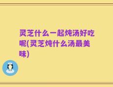 灵芝什么一起炖汤好吃呢(灵芝炖什么汤最美味)