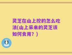 灵芝在山上挖的怎么吃法(山上采来的灵芝该如何食用？)