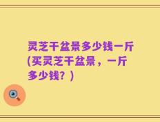 灵芝干盆景多少钱一斤(买灵芝干盆景，一斤多少钱？)