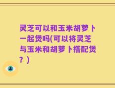 灵芝可以和玉米胡萝卜一起煲吗(可以将灵芝与玉米和胡萝卜搭配煲？)