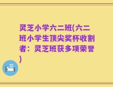 灵芝小学六二班(六二班小学生顶尖奖杯收割者：灵芝班获多项荣誉)