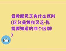 桑黄跟灵芝有什么区别(区分桑黄和灵芝-你需要知道的四个区别!)