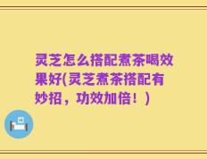灵芝怎么搭配煮茶喝效果好(灵芝煮茶搭配有妙招，功效加倍！)