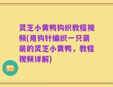 灵芝小黄鸭钩织教程视频(用钩针编织一只萌萌的灵芝小黄鸭，教程视频详解)