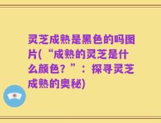 灵芝成熟是黑色的吗图片(“成熟的灵芝是什么颜色？”：探寻灵芝成熟的奥秘)