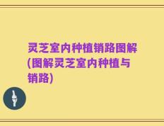 灵芝室内种植销路图解(图解灵芝室内种植与销路)
