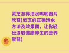 灵芝怎样泡水喝呢图片欣赏(灵芝的正确泡水方法及效果图，让你轻松汲取健康养生的营养智慧)