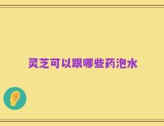 灵芝可以跟哪些药泡水