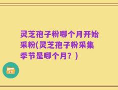 灵芝孢子粉哪个月开始采粉(灵芝孢子粉采集季节是哪个月？)