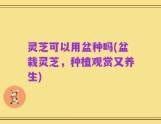灵芝可以用盆种吗(盆栽灵芝，种植观赏又养生)