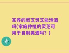 家养的灵芝灵芝能泡酒吗(家庭种植的灵芝可用于自制美酒吗？)