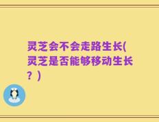灵芝会不会走路生长(灵芝是否能够移动生长？)