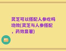 灵芝可以搭配人参吃吗功效(灵芝与人参搭配，药效显著)