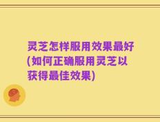 灵芝怎样服用效果最好(如何正确服用灵芝以获得最佳效果)