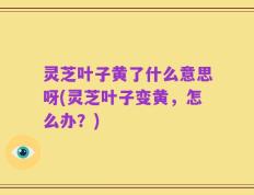 灵芝叶子黄了什么意思呀(灵芝叶子变黄，怎么办？)