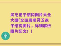 灵芝孢子结构图片大全大图(全面展现灵芝孢子结构图片，详细解析图片配文！)