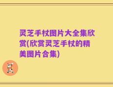 灵芝手杖图片大全集欣赏(欣赏灵芝手杖的精美图片合集)