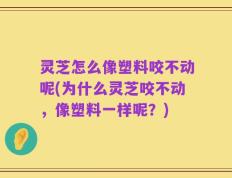 灵芝怎么像塑料咬不动呢(为什么灵芝咬不动，像塑料一样呢？)