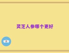 灵芝人参哪个更好