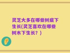 灵芝大多在哪些树底下生长(灵芝喜欢在哪些树木下生长？)