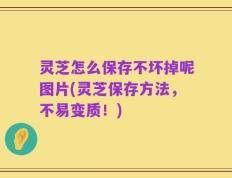 灵芝怎么保存不坏掉呢图片(灵芝保存方法，不易变质！)