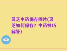 灵芝中药保存图片(灵芝如何保存？中药技巧解答)