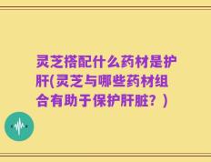 灵芝搭配什么药材是护肝(灵芝与哪些药材组合有助于保护肝脏？)