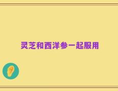 灵芝和西洋参一起服用