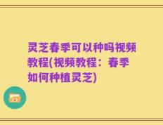 灵芝春季可以种吗视频教程(视频教程：春季如何种植灵芝)