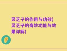 灵芝子的作用与功效(灵芝子的奇妙功能与效果详解)