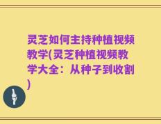 灵芝如何主持种植视频教学(灵芝种植视频教学大全：从种子到收割)